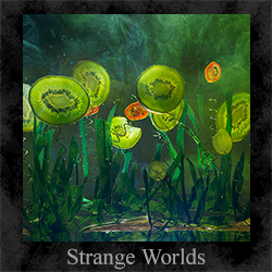 strange worlds